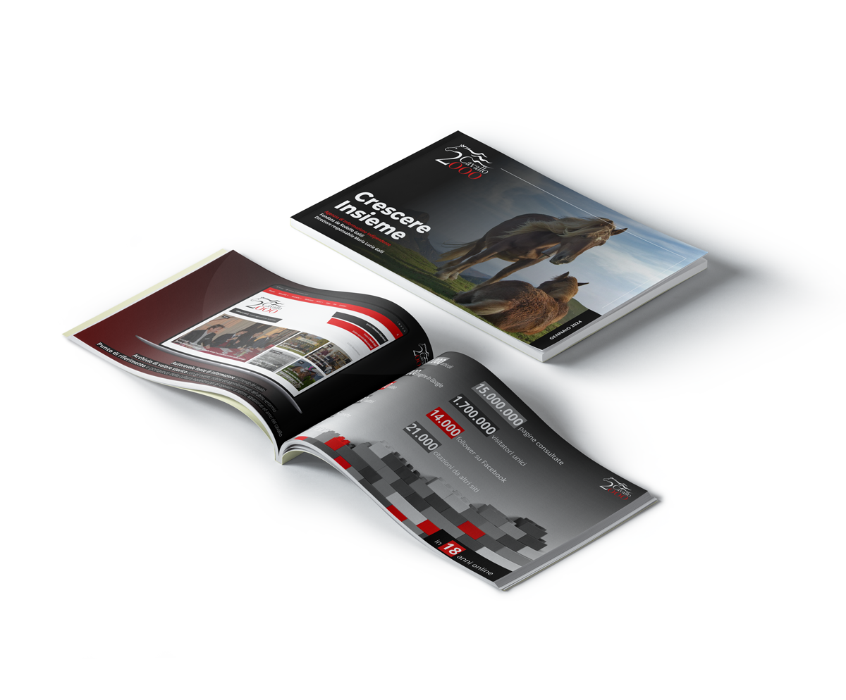 Scarica il Company Profile Scarica il Company Profile